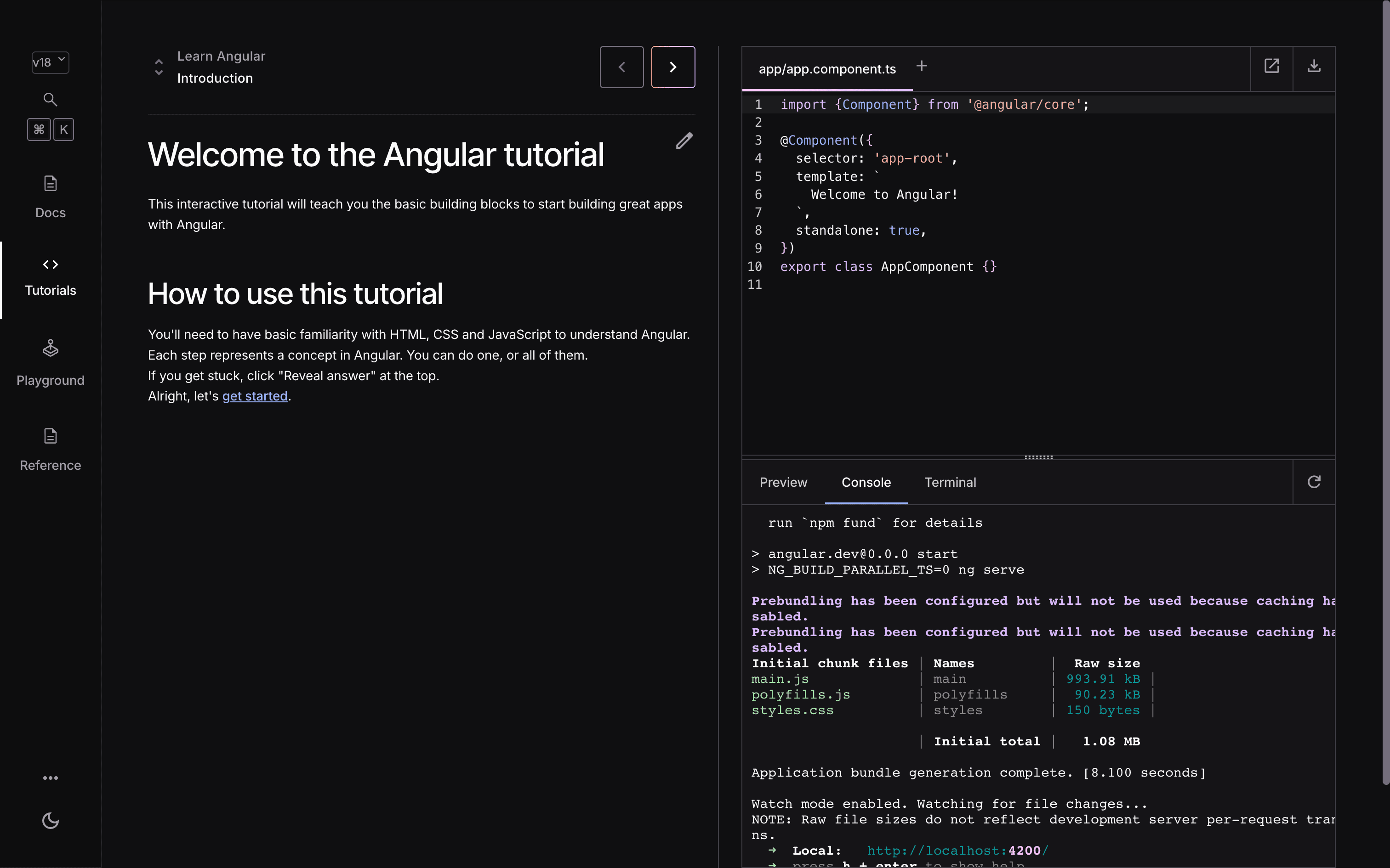 Angular Documentation screenshot